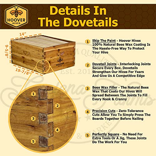 Hoover Hives 8 Frame Langstroth Beehive Dipped in 100% Beeswax Includes Wooden Frames & Waxed Foundations (2 Deep Boxes, 1 Medium Box)(Fully Assembled)