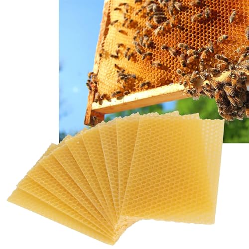 Beehive Wax Foundation Sheets, 30Pcs Bee Comb Honey Frame for Beekeeping, Honeycomb Beeswax Sheets for Candles Making and Furniture Polishing