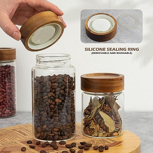 2PCS Small Glass Storage Jars with Airtight Lids, 19.3 fl oz (560ml) coffee container with Wooden Lid, Glass Pantry Canister for Beans, Rice, Sugar and etc - color: clear -（2PCS，19.3FL OZ/560ML）