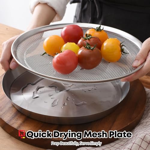 WAGENSTEIGER Stainless Steel Mesh Tray Set with Drip Pan, Air Fryer Basket and Tray, Kitchen Colander, Vegetable and Fruit Strainer, Food Filter, BBQ Prep Tool, Fruit Serving Dishes (9.84 inch) - size: 9.84 inch