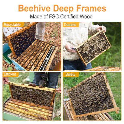 BeeCastle 40-Pack Beehive Frames Bee Hive Frame with Waxed Foundation Sheet Unassembled Beehive Frames, 9-1/8-Inch(Black) - size: 40-Pack