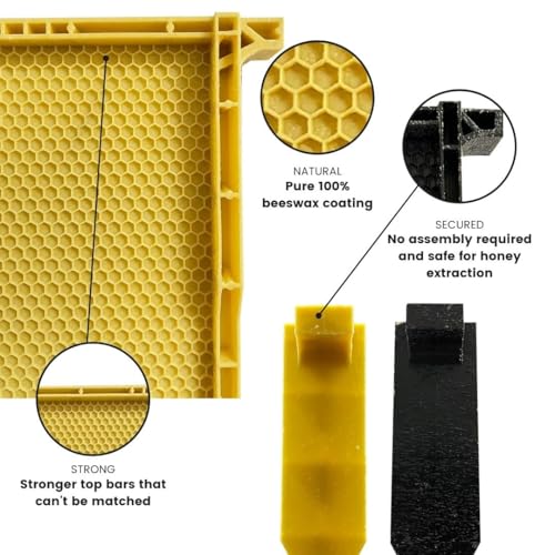 Waxed Plastic Frames for Beehives | Standard Size 9 1/8" Frames | Natural Color | Durable Beekeeping Supplies | Case of 30