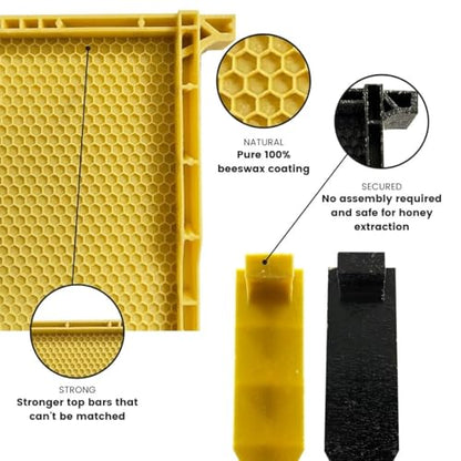 Waxed Plastic Frames for Beehives | Standard Size 9 1/8" Frames | Natural Color | Durable Beekeeping Supplies | Case of 30