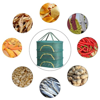 Hanging Drying Net Herb Drying Rack Foldable Fish Mesh Rack Net 19.7"x27.6"x25.5" Large 3 Layer Collapsible Dry Net with Zippers for Drying Fish Plants Vegetables Fruit Herb Flowers Clothes (Green) - color: Green