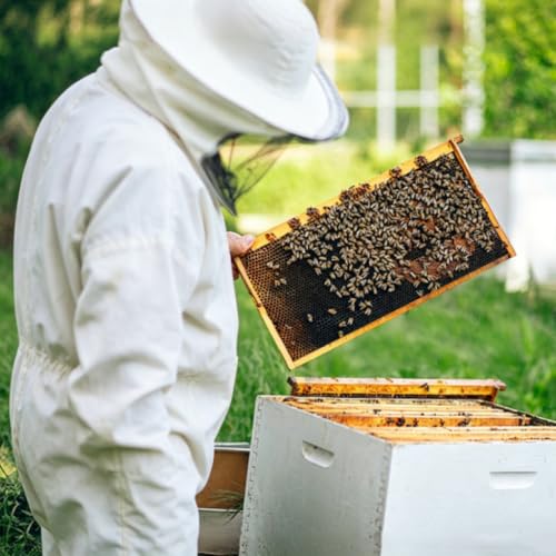 BeeCastle 10 Pack Beehive Frames and Wax Foundations for Deep Brood Bee Hives with Wooden Bee Hive Frames and 100% Beeswax Coated Foundations, 9-1/8-Inch (Black) - size: 10-Pack