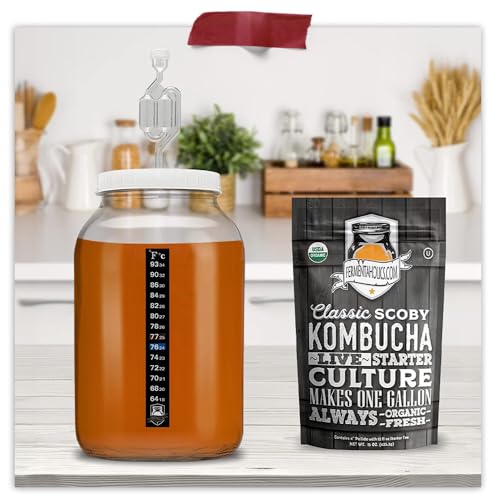 Glass One Gallon Fermentation Jar with Grommet Lid and S-Shaped Airlock - Airtight Seal With Air Lock Create the Perfect Brewing Vessel For Small Batch Fermenting