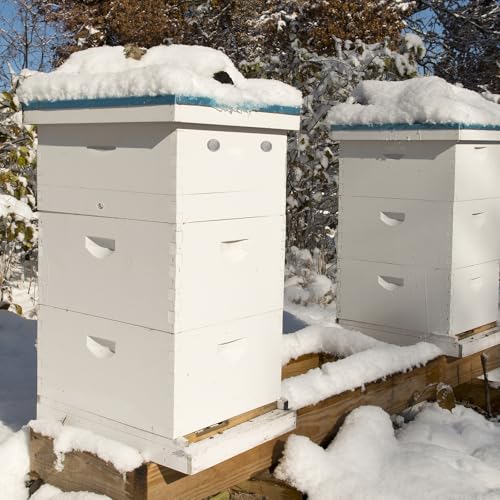 BeeTech 10 Frame Langstroth Bee Hive Quilt Box Hand Painted Assembled Quilt Box for Bees Winter - size: 10 Frame