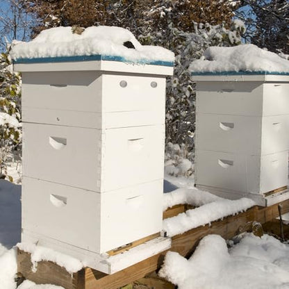 BeeTech 10 Frame Langstroth Bee Hive Quilt Box Hand Painted Assembled Quilt Box for Bees Winter - size: 10 Frame