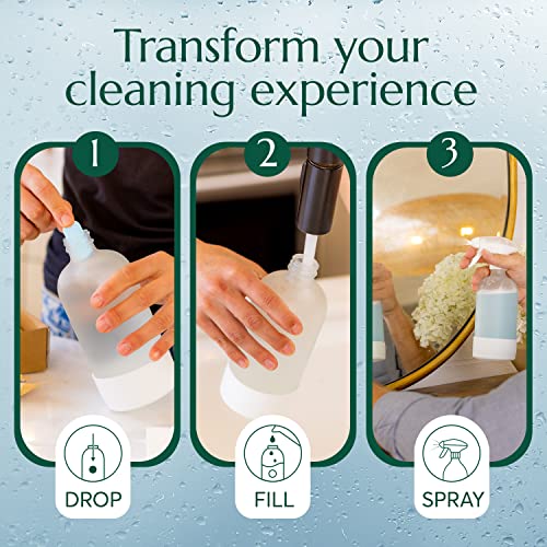 CLEANOMIC Glass and Mirror Cleaning Tablets (6 Pack) - All-Purpose Multi-Surface Household Cleaner Tablets (Scent-Free) - size: 6 Count (Pack of 1)