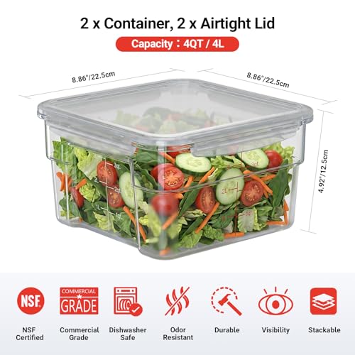 2 Pack 4 QT Airtight Commercial Food Storage Containers, Clear Food Storage Container with Built-In Labeling Area, Stackable for Coffee Beans, Sugar, Rice and Dry Goods, Shallow Model - size: 2 X 4.0(QT)-Shallow