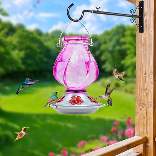 Hummingbird Feeder, BOLITE Glass Hummingbird Feeders for Outdoors Hanging, with Ant Moat and Five Feeding Ports, 22 Ounces, Leak Proof, Purple Bottle - color: Ruby Purple