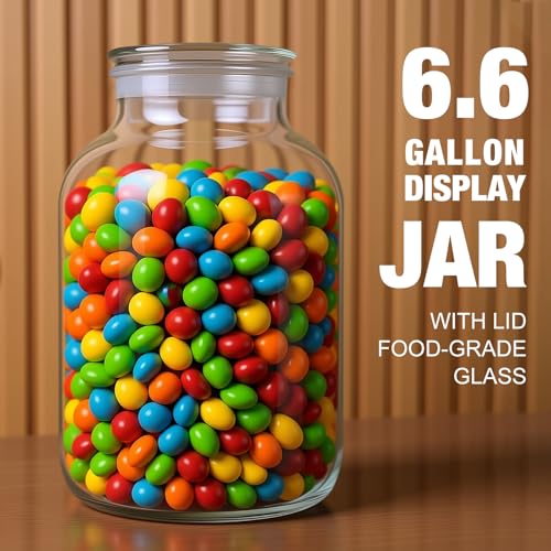 Maxdot Large Glass Jar with Airlock Lid 6.6 Gallon Large Storage Glass Jars Wide Mouth Fermentation Jar with Ropes Fermentation Container Jug for Wine Making - size: 6.6 Gallon, style: Airlock Lid