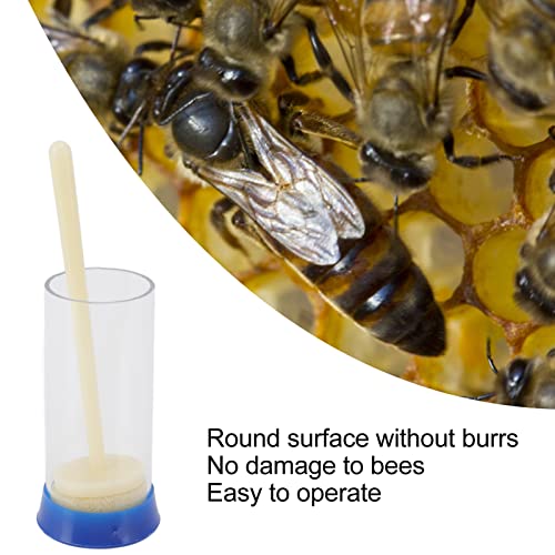 5Pcs Queen Marking Cage, Lightweight Bees Queen Bottle Marker, Queen Plunger Beekeeper Tools for Beekeepers, Gardening, Potted Plant