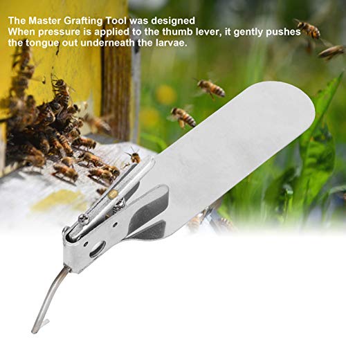 Beekeeping Grafting Tool,Single End Queen Bee Larva Grafting Needle Transferring Tool,Metal Bee Rearing Grafting Kit for Rearing Queen Bee