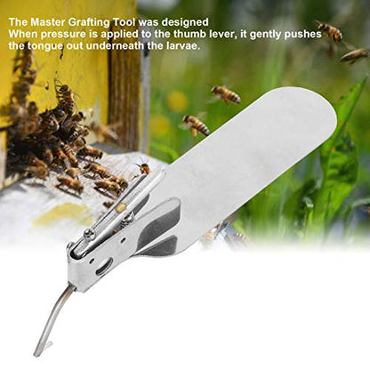 Beekeeping Grafting Tool,Single End Queen Bee Larva Grafting Needle Transferring Tool,Metal Bee Rearing Grafting Kit for Rearing Queen Bee