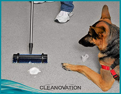 Rug Renovator/Carpet Cleaning Brush