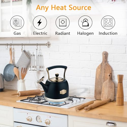 Tea Kettle Stainless Steel Teapot, Stainless Steel Teakettle for Stove Top with Heat Proof Ergonomic Handle 3.0 Quart - color: Black, size: 3 Quarts