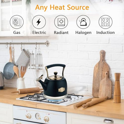 Tea Kettle Stainless Steel Teapot, Stainless Steel Teakettle for Stove Top with Heat Proof Ergonomic Handle 3.0 Quart - color: Black, size: 3 Quarts