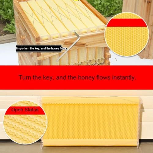 Self-Flow Honey Beehive Box, Natural Pine Wooden Beekeeping Hive Kit with Sloped Rainproof Roof, Reusable Honey Comb Frames for Backyard Beekeeping Supplies