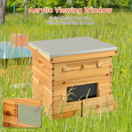 CREWORKS 10 Frame Bee Hive, 2 Layers Beeswax Coated Beehive Starter Kit with Frames & Foundations, Langstroth Bees Hives Box with Transparent Acrylic (Window Medium Box & Deep Box) - style: 2 Layer Beeswax Coated
