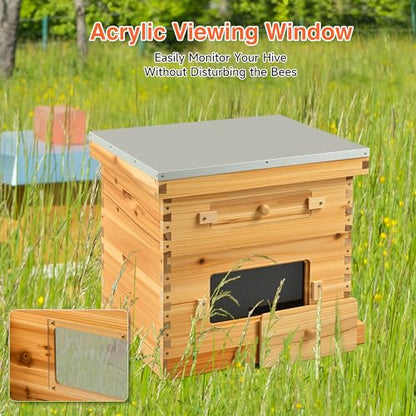 CREWORKS 10 Frame Bee Hive, 2 Layers Beeswax Coated Beehive Starter Kit with Frames & Foundations, Langstroth Bees Hives Box with Transparent Acrylic (Window Medium Box & Deep Box) - style: 2 Layer Beeswax Coated