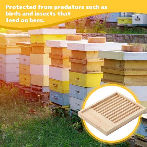 Leinuosen 2 Pack 10 Frame Slatted Rack for Beekeepers, Beehive Slatted Rack Assembled, Wood Hive Equipment, Durable Beekeeping Supplies for Beekeeping Tool (19.9 x 16.3 x 1.97 Inch)