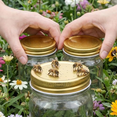 FENICAL Bee Feeder Lids for Mason Jar: 8pcs Bee Hive Entrance Feeder Lids Beehive Water and Sugar Dispenser Honeybee Beekeeping Feeding Accessories for Outdoor Beehives. 2.87 * 0.59 Inch (Gold)