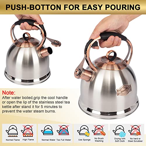 Whistling Stovetop Tea Kettle Food Grade Stainless Steel, Hot Water Fast to Boil for Stove Top-3.0Q - color: Silver-RW