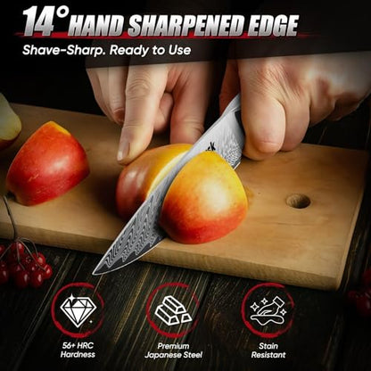 Huusk Japanese Kitchen Utility Knife 5" - Stainless Small Chef Knife with Resin Handle & Sheath, Full Tang Japanese Petty Knives for All Purpose, Sharp Paring Knives for Vegetable & Fruit, Men Gifts