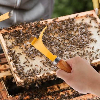 Portable Beehive Cleaning Tool with Wooden Handle and Stainless Steel Blade Not Easy to Break Hive Scraper for Beekeeping Frame and Box Scraping Random Color