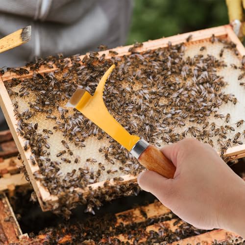 Beekeeper Beehive Cleaning Tool with Wooden Handle and Stainless Steel Scraper, Lightweight Hive Cleaning Scraper to Work Efficiency for Professional Beekeepers Random Color