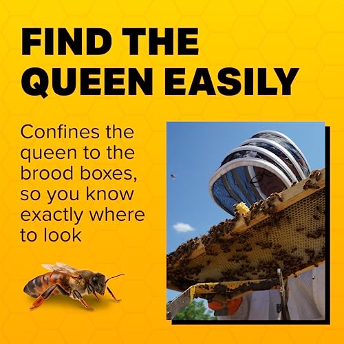 Mann Lake Plastic Queen Excluder, Fits 10 Frame Langstroth Beehives, Beekeeping Supplies & Kit Tools for All Beekeeping Levels, 5 Pack - size: 5 Pack