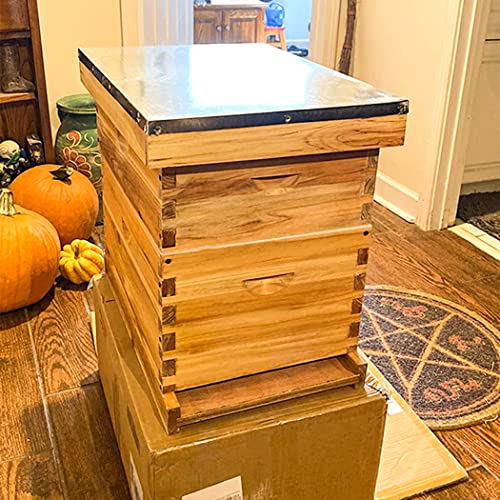 Beehive 10 Frame Bee Hives and Supplies Starter Kit, Bee Hive for Beginner, Honey Bee Hives Includes 1 Deep Brood Hive Box, 1 Bee Hive Super Box with Beehive Frames and Foundations
