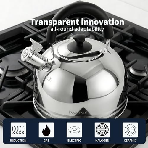 Whistling Tea Kettle for Stove Top,304 Stainless Steel Tea Kettles,6L/6.3QT Tea Kettles for Kitchen,Camping,Traveling,Portable,Fast to Boil - size: 6.3 Quarts