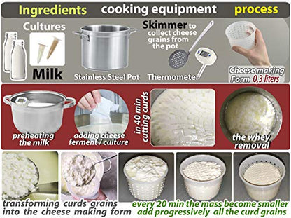 PetriStor 10pcs Small Cheese Mold for Cheese Making 1/3 qt - Soft Cheese Molds - Homemade Cheese Making Supplies - Cream Cheese Form Mold - Moldes Para Queso Fresco Casero - Feta Cheese Making