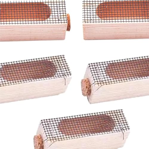 Queen Bee Cage 20x Wooden Cage Moving Beekeeping Equipment for Queen Rearing Beekeeping for Beekeeping Supplies