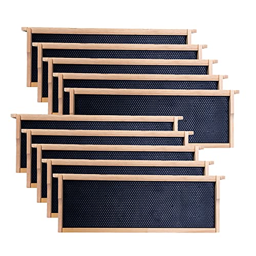 MayBee Medium Super Beehive Frames with Wax Foundations,10 Pack Honey Bee Frames with 100% Beeswax Coated Food Grade Foundation Sheets, 6-1/4-Inch (Black) - color: 10 Pack Medium Frame black