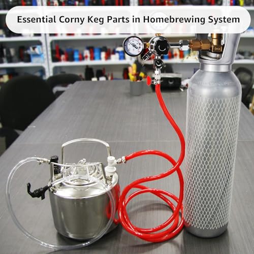 Ball Lock Keg Post Quick Disconnect Set, Corny Keg Connectors, 1 Pair Homebrew Stainless Corny Keg Post 19/32-18 Female Thread Keg Gas Liquid Post and 1 Pair Keg Post Fittings with Hose Clamps