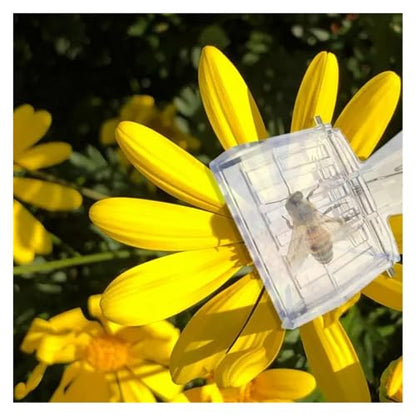 16pcs Bee Queen Cage Transparent Plastic Clip Catcher Box Clamp Beekeeping Equipments Beekeeper Equip