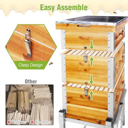 GUTINNEEN Bee Hive with Metal Frame and Stand, 10-Frame Bee Box Langstroth Beehive Dipped in 100% Beeswax,Easy Assemble Flow Hive Box Includes Wooden Frames & Waxed Foundations