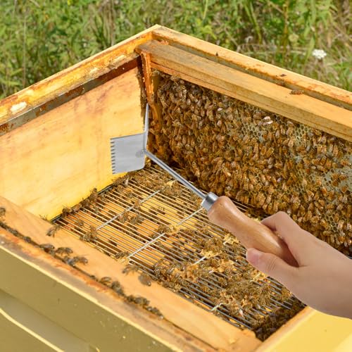 Ipetboom Beekeeping Shovel Steel Beehive Frame Cleaning Shovel Honey Uncapping Fork Honeycomb Honey Scraper Beekeeper Supplies Beekeeping Equipment