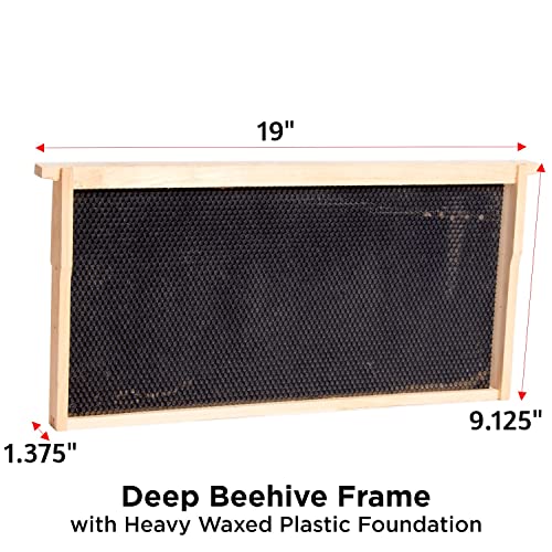 Stoney Acres Beekeeping Beehive Frame, Waxed Plastic Foundation, Deep Assembled, Honey Bee Hive, Amish Made