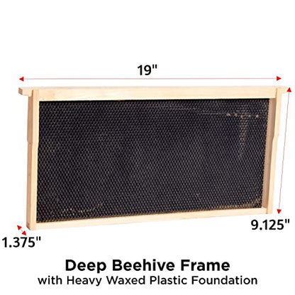 Stoney Acres Beekeeping Beehive Frame, Waxed Plastic Foundation, Deep Assembled, Honey Bee Hive, Amish Made