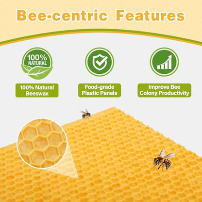 Bee Frames, Deep Beehive Frames with Wax Foundation, 10Pcs Hive Frames, 9-1/8-Inch, Unassembled