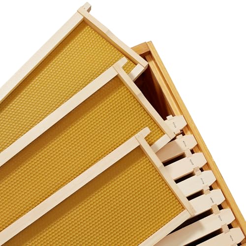 Honey Keeper Medium Super Brood Box with Window, 100% Beeswax Coated Beehive Kit with 10 Wooden Frames and Waxed Foundations for Langstroth Beekeeping - color: Yellow, size: Medium Super Box