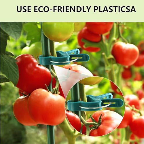 40Pcs Plant Clip Garden Clip Plant 2 Size Reusable Tomato Clip | Multi-Purpose Plant Rattan Clip Rose,Sturdy Cucumber Orchid Clip Plant Support Adjustable Clip Green (20 Large + 20 Small) - size: Large 20,Small 20