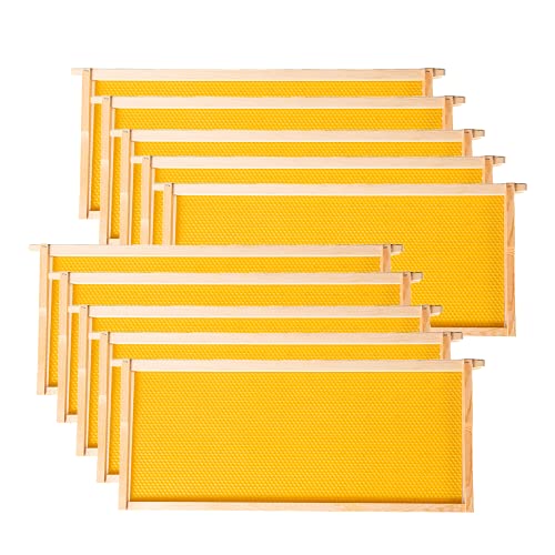 MayBee Deep Brood Beehive Frames with Wax Foundation,10 Pack Honey Bee Frames with 100% Beeswax Coated Food Grade Foundation Sheets, 9-1/8-Inch(Yellow) - color: Yellow Foundation, size: 10 Count (Pack of 1)