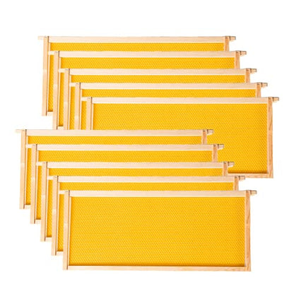 MayBee Deep Brood Beehive Frames with Wax Foundation,10 Pack Honey Bee Frames with 100% Beeswax Coated Food Grade Foundation Sheets, 9-1/8-Inch(Yellow) - color: Yellow Foundation, size: 10 Count (Pack of 1)