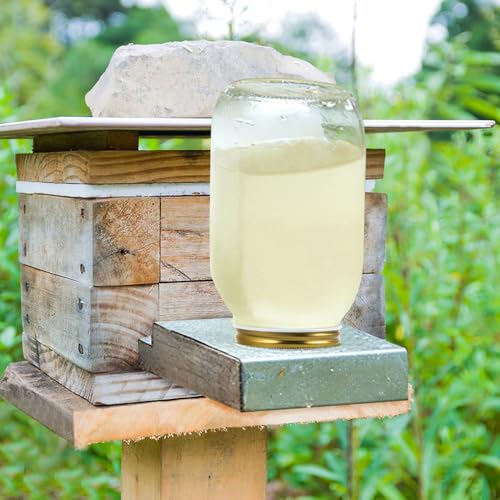 5pcs Beehive Feeder Lids Easy to Install Bee Water Feeder for Hive Entrance Durable Bee Supplies for Beekeeping Multipurpose Watering Station Covers