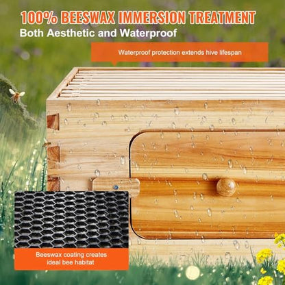 Bee Hive Deep Box Starter Kit, 100% Beeswax Coated Natural Cedar Wood, Langstroth Beehive Kit with 10 Frames and Foundations, Transparent Acrylic Bee Windows for Beginners and Pro Beekeepers